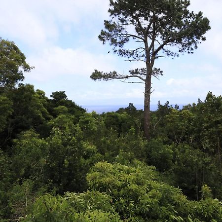 Casas Do Caminho Novo São Roque do Pico المظهر الخارجي الصورة